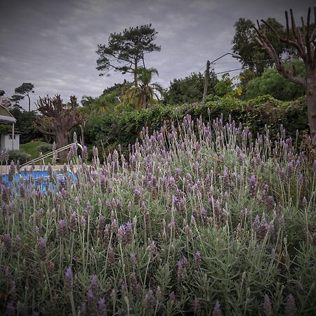 Arsamici Hotel Punta del Este Luaran gambar