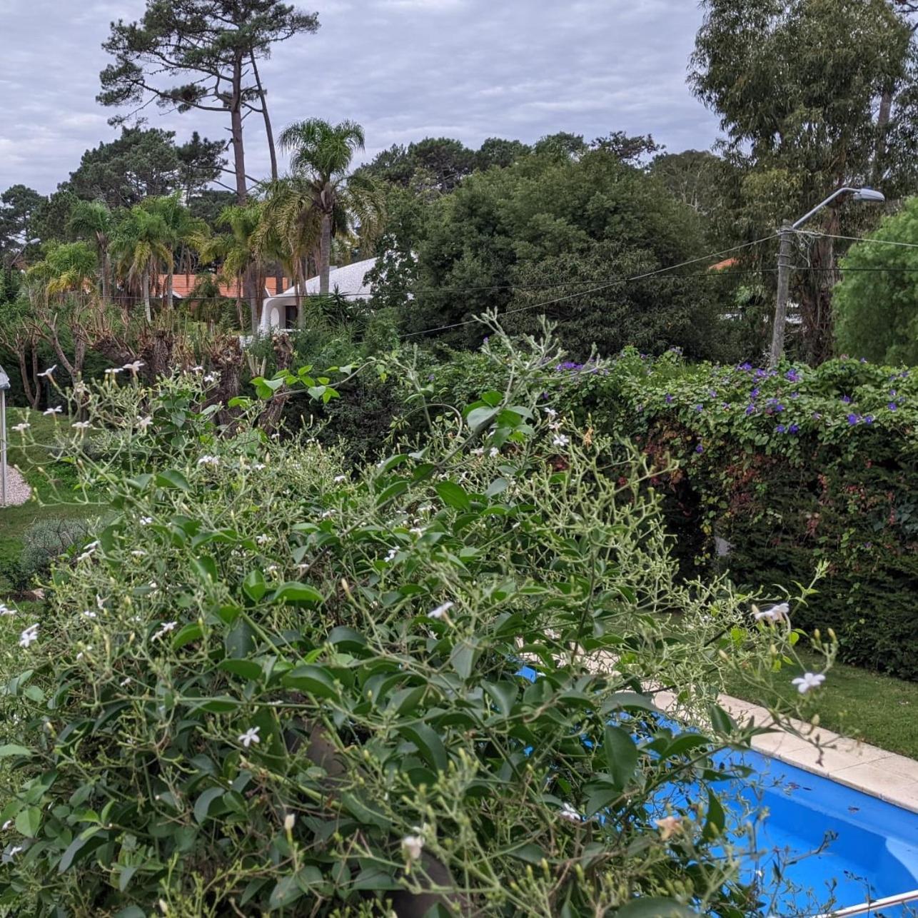 Arsamici Hotel Punta del Este Luaran gambar