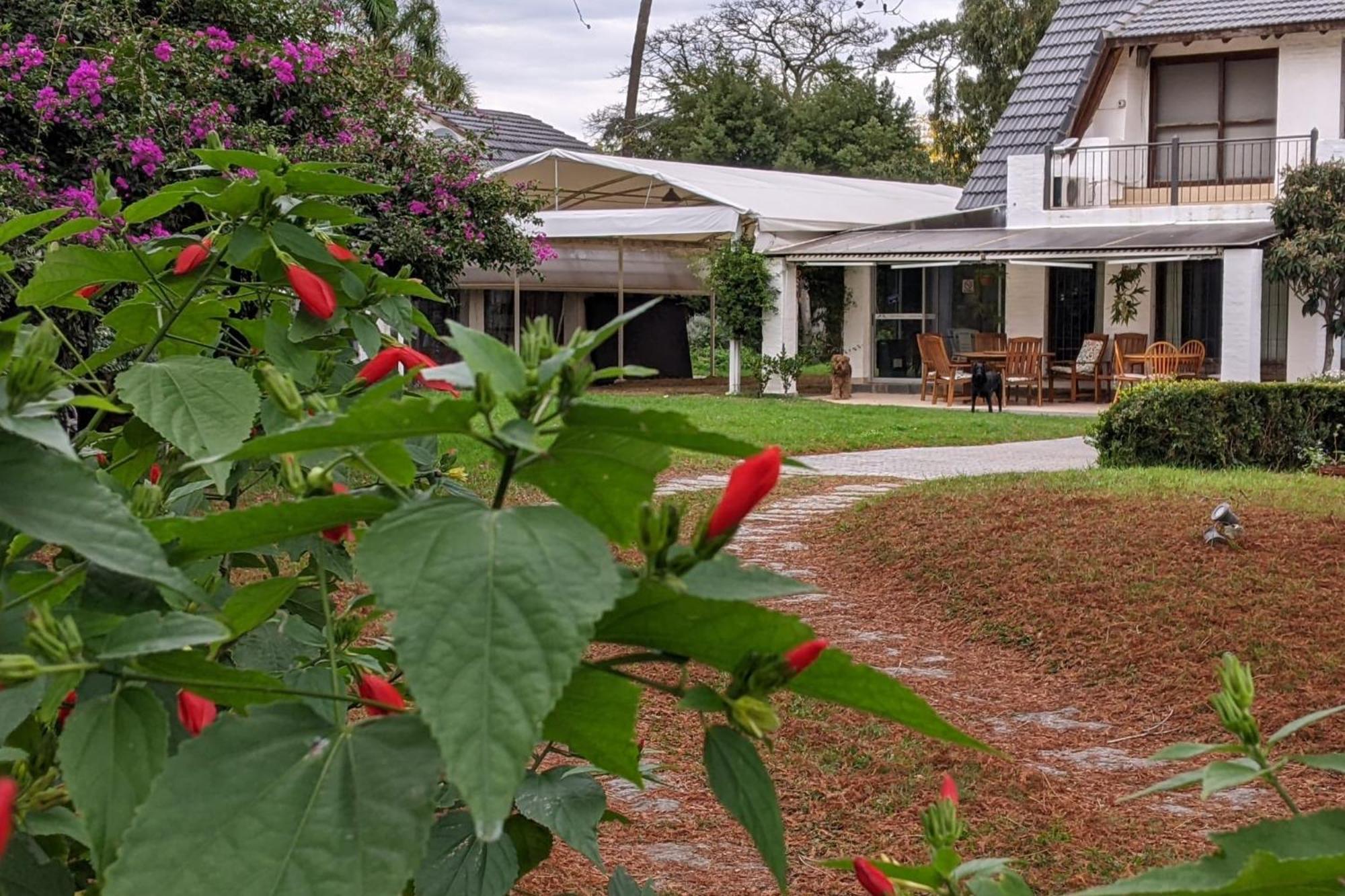 Arsamici Hotel Punta del Este Luaran gambar