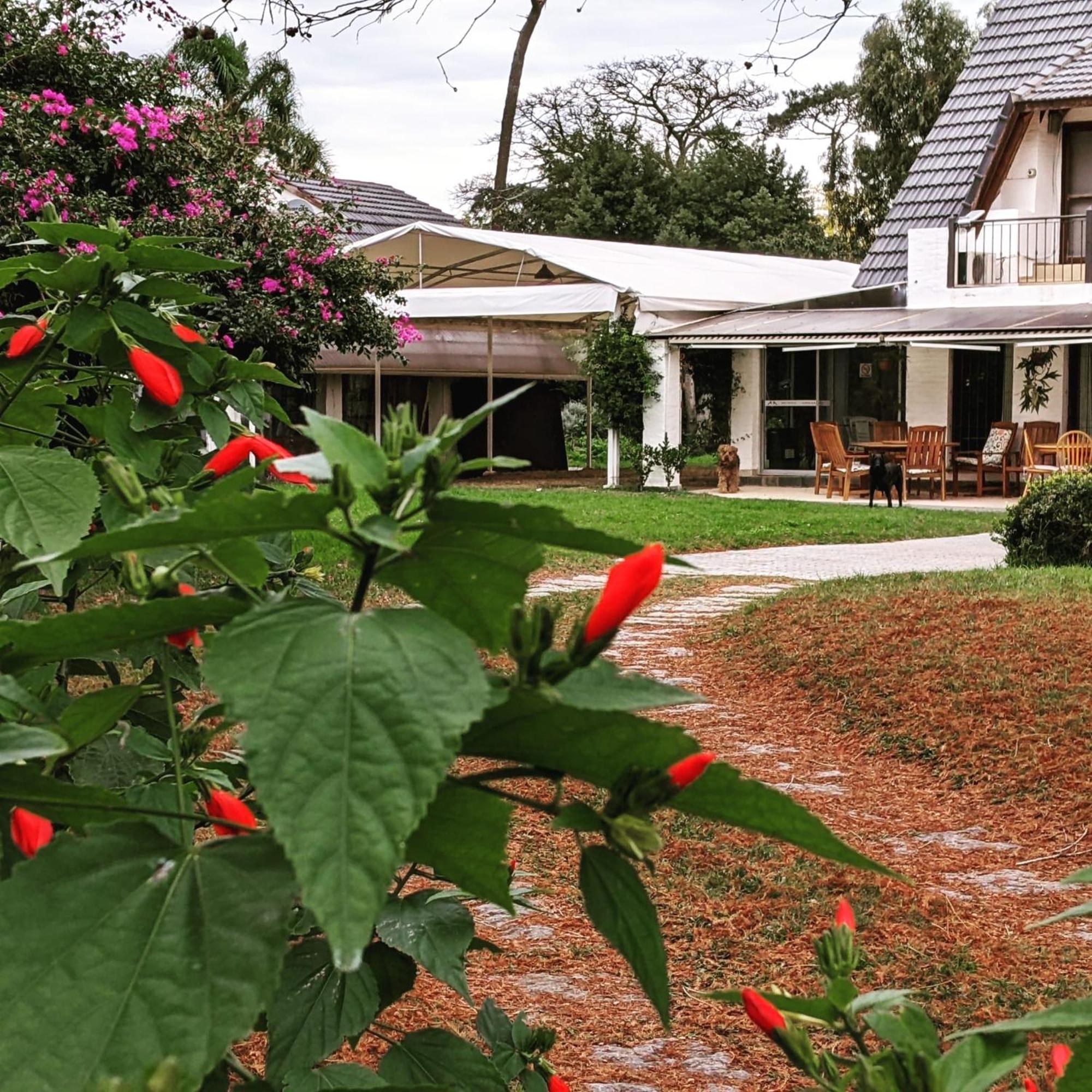 Arsamici Hotel Punta del Este Luaran gambar