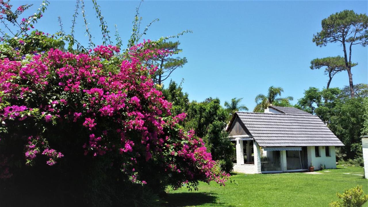 Arsamici Hotel Punta del Este Luaran gambar