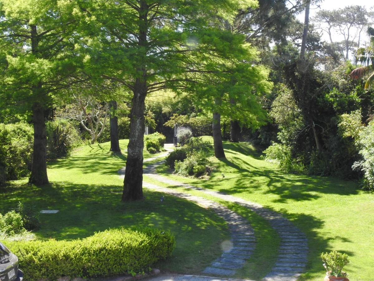 Arsamici Hotel Punta del Este Luaran gambar